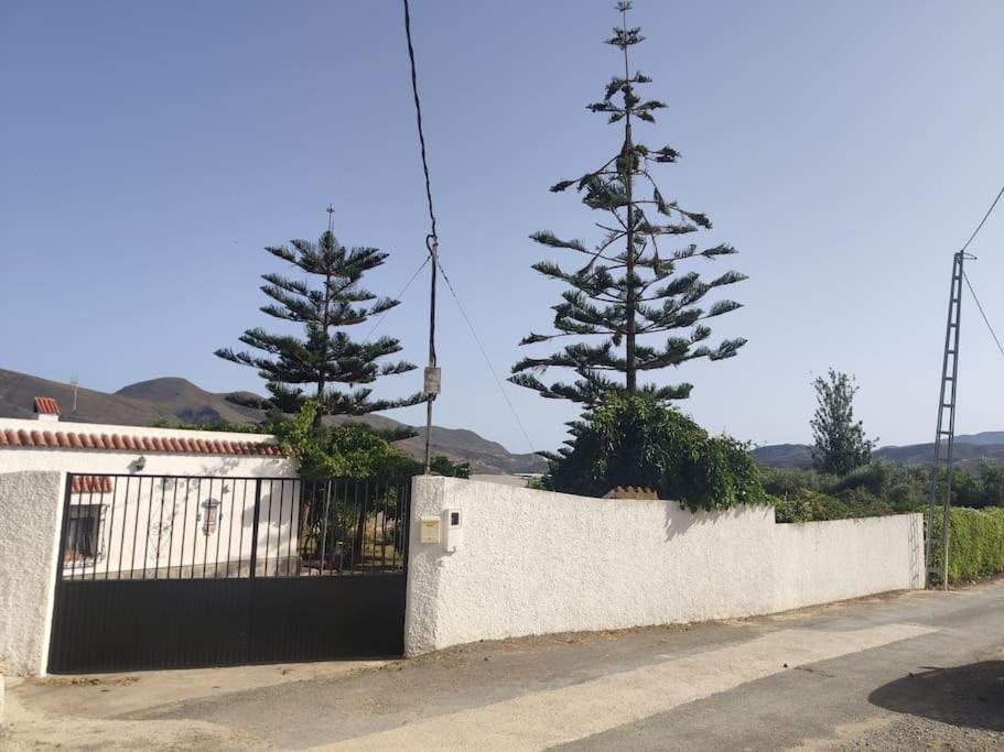 Encantadora Casa Rural Con Gran Porche San Roque  Eksteriør billede