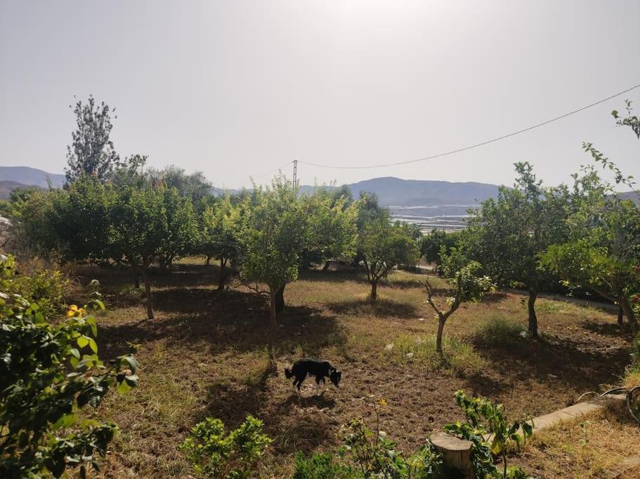 Encantadora Casa Rural Con Gran Porche San Roque  Eksteriør billede